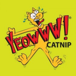 yeowww catnip